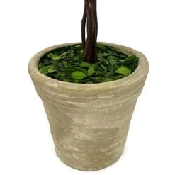 Modern Home Real Preserved Boxwood Double Ball Topiary -Artificial Trees Store 41MHTEZA6VL