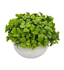 Artificial Mini Potted Plant Decor (Set Of 3) | Green Leaves Set | Fake Plants | Office Decor, Bathroom Decor, Farmhouse Decor, Kitchen Decor | Faux Topiary Decore | Home Decor Clearance -Artificial Trees Store 41Mn7ryAyVL