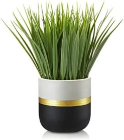 Artificial Plants Small Faux Plant Decor 3Pcs Fake Potted Plant Faux Plants In Pots Fake Grass Pot For Home Table Office Desk Room Bathroom House Indoor Decorative Gifts 14 Artificial Plants Small Faux Plant Decor 3Pcs Fake Potted Plant Faux Plants In Pots Fake Grass Pot For Home Table Office Desk Room Bathroom House Indoor Decorative Gifts -Artificial Trees Store 41NBnFydTIL. AC