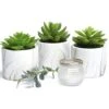 Kurrajong Farmhouse Artificial Succulent Plants In Pots | Mini Fake Plant For Shelves | Artificial Plants For Home Decor Indoor | Succulent Plants Artificial | Mini Plant Decor | Small Faux Plants -Artificial Trees Store 41Nn0KOQN9L
