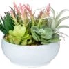 10 In 1- Fake Plants In Pot -Artificial Succulents Plant For Desk Decor -Small Faux Plants Indoor Modern Farmhouse Plants Artificial Decor -Potted Small Plants Decor For Bedroom Bathroom Office Shelf -Artificial Trees Store 41O8eWA4yjL