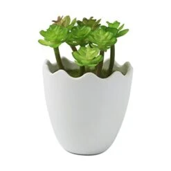 Myartte Artificial Succulent Plants Fake Succulents Mini Faux Plants For Home/Office Docor (Resin Pots) … 14 Myartte Artificial Succulent Plants Fake Succulents Mini Faux Plants For Home/Office Docor (Resin Pots) … -Artificial Trees Store 41OBRMkXvNL