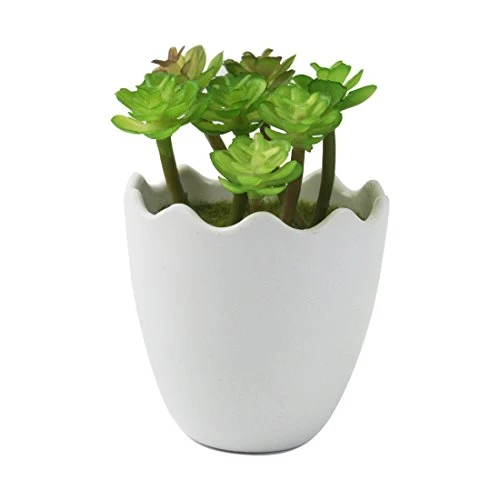 Myartte Artificial Succulent Plants Fake Succulents Mini Faux Plants For Home/Office Docor (Resin Pots) … 6 Myartte Artificial Succulent Plants Fake Succulents Mini Faux Plants For Home/Office Docor (Resin Pots) … - Image 4