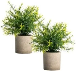 Velener Artificial Potted Rosemary Plants- Rustic Farmhouse Topiary Shrubs For Decoration Centerpieces Living Room, Shelf Bedroom Aesthetic Green Bathroom Accessories Boho Small Desk Plant Office 15 Velener Artificial Potted Rosemary Plants- Rustic Farmhouse Topiary Shrubs For Decoration Centerpieces Living Room, Shelf Bedroom Aesthetic Green Bathroom Accessories Boho Small Desk Plant Office -Artificial Trees Store 41OVZAmZF3L. AC