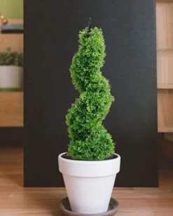 3ft Artificial Spiral Topiary,Faux Topiary Trees ,Artificial Boxwood Plants,Topiary Trees Artificial Outdoor 2 Pack,Fake Plant Green Decor For Outdoor And Indoor,Topiaries For Front Porch Set Of Two -Artificial Trees Store 41OecXVKq3L