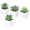 Artificial Succulent Plants Fake Succulent Plants Artificial Faux Succulents 4pcs Mini Potted Succulents For Home Office Room Decoration (D) 1 Artificial Succulent Plants Fake Succulent Plants Artificial Faux Succulents 4pcs Mini Potted Succulents For Home Office Room Decoration (D) -Artificial Trees Store 41Pc75XBqaS
