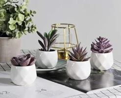 Tiita Artificial Faux Succulents In Pots Fake Plants Ceramic Arrangement Planter Small Mini Tiny Decoration For Home Office Desk Window Sill Bathroom Bedroom Outdoor Indoor 4 Set -Artificial Trees Store 41PygYH7qAL