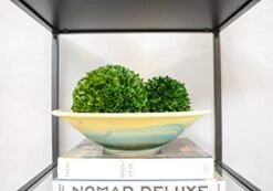 Admired By Nature Faux Preserved Artificial Boxwood Ball Plant, Small-3pcs, 3 Count -Artificial Trees Store 41QEgFq913L