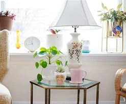 Silver Buffalo The Golden Girls Sophia Face Mini Ceramic Planter Decor | Official TV Show Collectible | Small Flower Pot For Indoor Plants, Includes Artificial Succulent | 3 Inches 16 Silver Buffalo The Golden Girls Sophia Face Mini Ceramic Planter Decor | Official TV Show Collectible | Small Flower Pot For Indoor Plants, Includes Artificial Succulent | 3 Inches -Artificial Trees Store 41Qh7U2r5kS