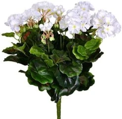 Vickerman 17.5" Artificial White Polyester Geranium Bush -Artificial Trees Store 41RhVTX5JlL. AC