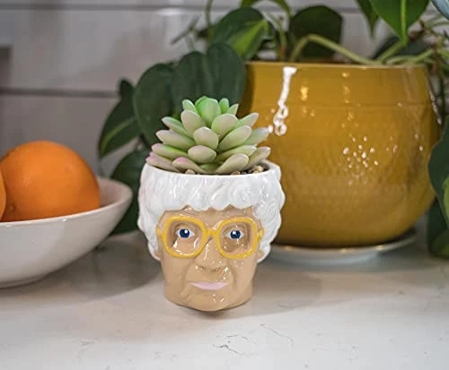 Silver Buffalo The Golden Girls Sophia Face Mini Ceramic Planter Decor | Official TV Show Collectible | Small Flower Pot For Indoor Plants, Includes Artificial Succulent | 3 Inches 7 Silver Buffalo The Golden Girls Sophia Face Mini Ceramic Planter Decor | Official TV Show Collectible | Small Flower Pot For Indoor Plants, Includes Artificial Succulent | 3 Inches - Image 5