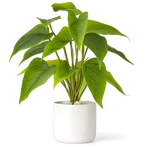 Mkono Fake Plants In Ceramic Pot, 11" Potted Artificial Plants For Home Decor Indoor Faux Green Leaf Plant With Modern White Planter For Desk Shelf Office Room Decoration (Pothos) 3 Mkono Fake Plants In Ceramic Pot, 11" Potted Artificial Plants For Home Decor Indoor Faux Green Leaf Plant With Modern White Planter For Desk Shelf Office Room Decoration (Pothos)