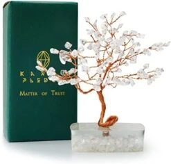 Handcrafted Healing Crystal Trees (Set Of 12), Bonsai Tree For Positive Energy & Chakra Balance, Feng Shui Tree Of Life, Perfect Home/Desk Decor, Reiki Good Luck Crystal Gifts By KarmaPledge -Artificial Trees Store 41S8CdtPV2L. AC