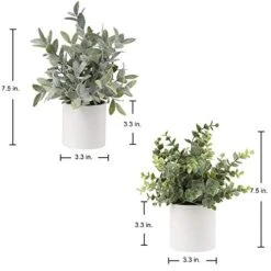 Briful Mini Fake Plants Set Of 2 Small Faux Plant Eucalyptus Rosemary Greenery Potted Plants Artificial Decor For Home Table Office Room Desk Bathroom Shelf Kitchen Farmhouse Mantel Decoration 14 Briful Mini Fake Plants Set Of 2 Small Faux Plant Eucalyptus Rosemary Greenery Potted Plants Artificial Decor For Home Table Office Room Desk Bathroom Shelf Kitchen Farmhouse Mantel Decoration -Artificial Trees Store 41SMumwryTL