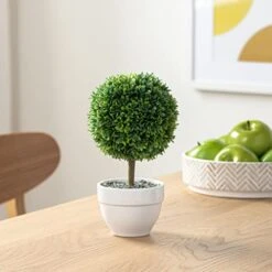 Torre & Tagus 901837 Jardin Topiary Boxwood Ball, 10-Inch