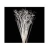 24-28" White Sparkle Curly Ting Ting Branch -Artificial Trees Store 41ST9kPdZnL