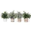 PENGYEE Artificial Topiaries Plants & Flowers, 4 Pcs Mini Plants Artificial Potted Set Fake Green Grass Plant Faux Plastic Topiary For Home Office Desk Bathroom Kitchen Counter Decoration (Mixed) 2 PENGYEE Artificial Topiaries Plants & Flowers, 4 Pcs Mini Plants Artificial Potted Set Fake Green Grass Plant Faux Plastic Topiary For Home Office Desk Bathroom Kitchen Counter Decoration (Mixed) -Artificial Trees Store 41SUv8YXiuS