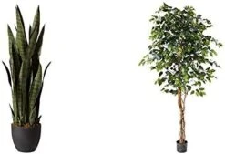 Nearly Natural, Green 4855 35in. Sansevieria With Black Planter -Artificial Trees Store 41Sy5isVhL. AC