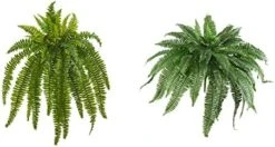 Nearly Natural 35” Boston Fern Artificial (Set Of 2) Silk Plants Green -Artificial Trees Store 41TDEfp57DL. AC