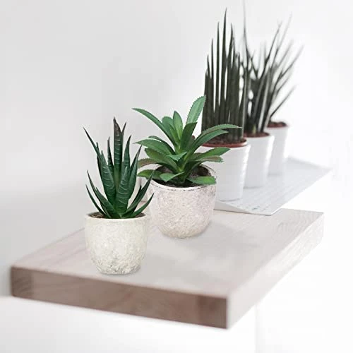 Memeaty Set Of 5 Small Fake Plants Artificial Rosemary Peppermint Plants Fake Succulents Plants In Pot For Home Office Decoration,Artficial Greenery Faux Plants Indoor For Table Shelf Decor 7 Memeaty Set Of 5 Small Fake Plants Artificial Rosemary Peppermint Plants Fake Succulents Plants In Pot For Home Office Decoration,Artficial Greenery Faux Plants Indoor For Table Shelf Decor - Image 5