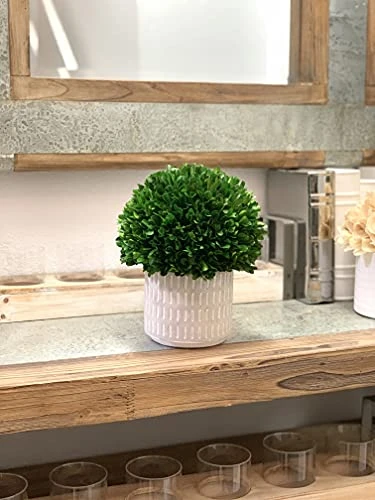 Galt International - Natural Preserved Boxwood Topiary In Cement Pot - Real Preserved Plant And Table Centerpiece - Stunning Greenery And Plant Decor For Home (9.5" Tall / 7.9" Topiary) 5 Galt International - Natural Preserved Boxwood Topiary In Cement Pot - Real Preserved Plant And Table Centerpiece - Stunning Greenery And Plant Decor For Home (9.5" Tall / 7.9" Topiary) - Image 3