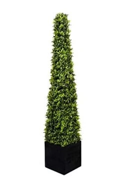 2 X Artificial Premium Quality Topiary Boxwood Pyramid Trees In Black Square Planter For Indoor Outdoor Decor, UV Stable (4ft/120cm) … -Artificial Trees Store 41UNdVbSGfL