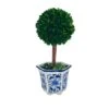 Galt International Preserved Boxwood Topiary Tree In Blue & White Ceramic Pot - Plant And Table Centerpiece - Stunning Greenery And Plant Decor For Home 5.9" Diameter Topiary 14" Tall 1 Galt International Preserved Boxwood Topiary Tree In Blue & White Ceramic Pot - Plant And Table Centerpiece - Stunning Greenery And Plant Decor For Home 5.9" Diameter Topiary 14" Tall -Artificial Trees Store 41UjJxCPHuL