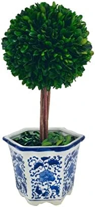 Galt International Preserved Boxwood Topiary Tree In Blue & White Ceramic Pot - Plant And Table Centerpiece - Stunning Greenery And Plant Decor For Home 5.9" Diameter Topiary 14" Tall 9 Galt International Preserved Boxwood Topiary Tree In Blue & White Ceramic Pot - Plant And Table Centerpiece - Stunning Greenery And Plant Decor For Home 5.9" Diameter Topiary 14" Tall - Image 7