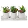 Briful Succulents Plants Artificial In Marble Pot Set Of 3 Small Fake Succulents Plants Faux Succulents With Wood Tray For Table Shelf Office Home Decorations -Artificial Trees Store 41Ujiq6kt2S