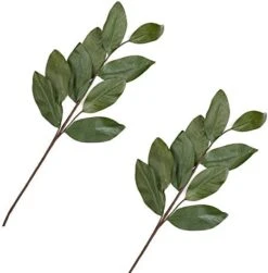 Factory Direct Craft Artificial Magnolia Leaf Bush Realistic Faux Magnolia Leaves For Natural Look Greenery In Floral Designs, Wedding Decor, Home Decor, And Holiday Decorating 27 Factory Direct Craft Artificial Magnolia Leaf Bush Realistic Faux Magnolia Leaves For Natural Look Greenery In Floral Designs, Wedding Decor, Home Decor, And Holiday Decorating -Artificial Trees Store 41Uqh5dV1eL. AC