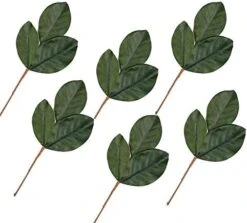Factory Direct Craft Artificial Magnolia Leaf Bush Realistic Faux Magnolia Leaves For Natural Look Greenery In Floral Designs, Wedding Decor, Home Decor, And Holiday Decorating 29 Factory Direct Craft Artificial Magnolia Leaf Bush Realistic Faux Magnolia Leaves For Natural Look Greenery In Floral Designs, Wedding Decor, Home Decor, And Holiday Decorating -Artificial Trees Store 41VFF5rH6jL. AC