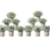 A Bundle Of 6pcs Mini Potted Fake Plants And 6pcs Mini Fake Plants Artificial Potted Plants Desk Plants For Home Office Farmhouse Bathroom Bedroom Decor 1 A Bundle Of 6pcs Mini Potted Fake Plants And 6pcs Mini Fake Plants Artificial Potted Plants Desk Plants For Home Office Farmhouse Bathroom Bedroom Decor -Artificial Trees Store 41VhVT613oL