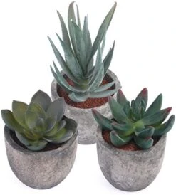 Iuuidu Artificial Potted Plant, Faux Succulent In Pot Emotional Cement Potted Plant Animated Artificial Succulents Decor For Home Living Room Bedroom And Office(Shy) 24 Iuuidu Artificial Potted Plant, Faux Succulent In Pot Emotional Cement Potted Plant Animated Artificial Succulents Decor For Home Living Room Bedroom And Office(Shy) -Artificial Trees Store 41Vwt5ZL2EL. AC
