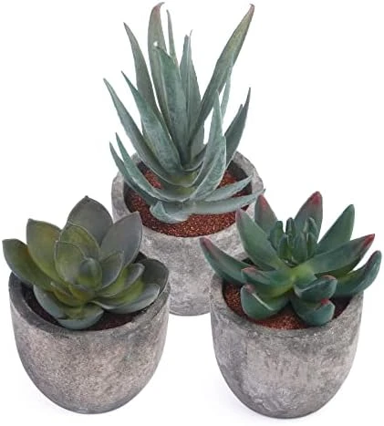 Iuuidu Artificial Potted Plant, Faux Succulent In Pot Emotional Cement Potted Plant Animated Artificial Succulents Decor For Home Living Room Bedroom And Office(Shy) 10 Iuuidu Artificial Potted Plant, Faux Succulent In Pot Emotional Cement Potted Plant Animated Artificial Succulents Decor For Home Living Room Bedroom And Office(Shy) - Image 8