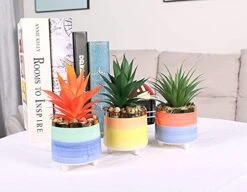 Letinaner Artificial Succulent Plants Faux Pineapple In Pots Artificial Plants Greenery Decorations For Hotel Restaurant Home Office Kitchen Table, Set Of 3 -Artificial Trees Store 41W1bjrvcYL