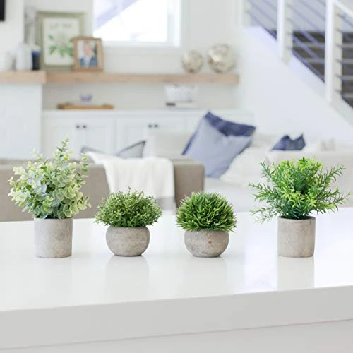 GreenCallow Artificial Plants For Home Decor Indoor. 4 Mini Plants, Rosemary Faux Plant Decor, Eucalyptus Plant, Grass Faux Plants. Small Fake Plants For Shelf Or Desk Plant Artificial Greenery Décor 8 GreenCallow Artificial Plants For Home Decor Indoor. 4 Mini Plants, Rosemary Faux Plant Decor, Eucalyptus Plant, Grass Faux Plants. Small Fake Plants For Shelf Or Desk Plant Artificial Greenery Décor - Image 6