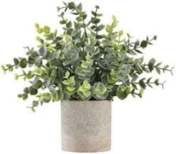 Ifreeside Small Potted Artificial Plants Plastic Fake Greenery Topiary Shrubs For Home Office Farmhouse Bathroom Tabletop Indoor Decor Green Rosemary 16 Ifreeside Small Potted Artificial Plants Plastic Fake Greenery Topiary Shrubs For Home Office Farmhouse Bathroom Tabletop Indoor Decor Green Rosemary -Artificial Trees Store 41XJ0S20HRL. AC