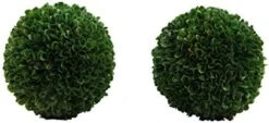 Admired By Nature Faux Preserved Artificial Boxwood Ball Plant, Small-3pcs, 3 Count -Artificial Trees Store 41XQmMMQGKL. AC