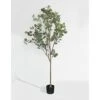 DIIGER Artificial Tree 6FT (72'') Tall Artificial Eucalyptus Tree, Fake Silver Dollar Leaves Faux Eucalyptus Stems, Mordern Artificial Tree Plants For Home Office Perfect Housewares Gift Decoration 1 DIIGER Artificial Tree 6FT (72'') Tall Artificial Eucalyptus Tree, Fake Silver Dollar Leaves Faux Eucalyptus Stems, Mordern Artificial Tree Plants For Home Office Perfect Housewares Gift Decoration -Artificial Trees Store 41XTEiqmtkL