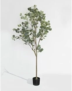 DIIGER Artificial Tree 6FT (72'') Tall Artificial Eucalyptus Tree, Fake Silver Dollar Leaves Faux Eucalyptus Stems, Mordern Artificial Tree Plants For Home Office Perfect Housewares Gift Decoration -Artificial Trees Store 41XTEiqmtkL. AC 1