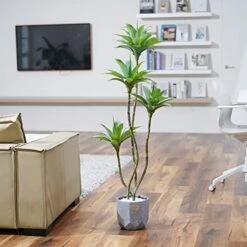 Waoops Artificial Trees Faux Water Lilies With 4 Heads In Pot 4.6 Ft Fake Tree Greenery Plants For Outdoor Indoor Decor Home Office Garden Housewarming Gift (4.6 Feet-1 Pack) 11 Waoops Artificial Trees Faux Water Lilies With 4 Heads In Pot 4.6 Ft Fake Tree Greenery Plants For Outdoor Indoor Decor Home Office Garden Housewarming Gift (4.6 Feet-1 Pack) -Artificial Trees Store 41XbQrMzIvL