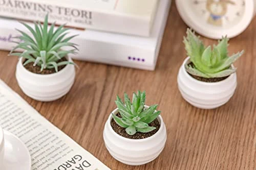 Der Rose 6 Packs Fake Succulents Plants Small Realistic Succulents Plants Artificial For Home Room Decor Indoor 6 Der Rose 6 Packs Fake Succulents Plants Small Realistic Succulents Plants Artificial For Home Room Decor Indoor - Image 4