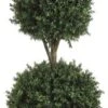 Allstate Floral & Craft 1 6'TRI Ball Boxwood TOP.(P) GRTT Greenery, 72-in, Two Tone Green -Artificial Trees Store 41YY5w10wDL