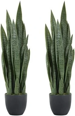 Worth Garden 3ft Artificial Snake Plant Fake Sansevieria Indoor Outdoor, 28 Thick Leaves Lifelike Faux Silk Plant, Home Decor Mother In Law Tongue Plant 35in, Black Pot & 20g Dry Moss Included, Green 13 Worth Garden 3ft Artificial Snake Plant Fake Sansevieria Indoor Outdoor, 28 Thick Leaves Lifelike Faux Silk Plant, Home Decor Mother In Law Tongue Plant 35in, Black Pot & 20g Dry Moss Included, Green -Artificial Trees Store 41YeQ3WHL. AC