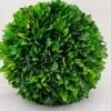 Tradingsmith Preserved Boxwood 6" Balls -Artificial Trees Store 41Yh4Np1eWL