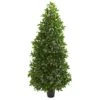 Nearly Natural 5-Ft. Bay Leaf Cone Topiary Artificial UV Resistant (Indoor/Outdoor) Silk Trees Green -Artificial Trees Store 41YnpPh75hL