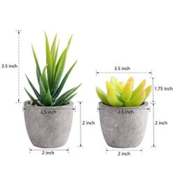 T4U Artificial Succulent Plants In Pot, Assorted Faxu Succulent Fake Cactus Cacti With Grey Pots For Decorative, Set Of 6 -Artificial Trees Store 41Z0vGT4BZL