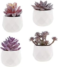 Tiita Artificial Faux Succulents In Pots Fake Plants Ceramic Arrangement Planter Small Mini Tiny Decoration For Home Office Desk Window Sill Bathroom Bedroom Outdoor Indoor -Artificial Trees Store 41Z89m4IOL. AC 1