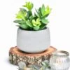 Kurrajong Farmhouse Faux Succulent In Pot - Faux Plants Decor - 7" X 4.5" - Feaux Plant In Pot - Fake Succulent Potted Plant For Home Decor Indoor -Artificial Trees Store 41ZD336pWIL