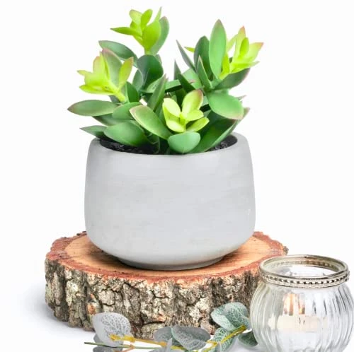 Kurrajong Farmhouse Faux Succulent In Pot - Faux Plants Decor - 7" X 4.5" - Feaux Plant In Pot - Fake Succulent Potted Plant For Home Decor Indoor 3 Kurrajong Farmhouse Faux Succulent In Pot - Faux Plants Decor - 7" X 4.5" - Feaux Plant In Pot - Fake Succulent Potted Plant For Home Decor Indoor